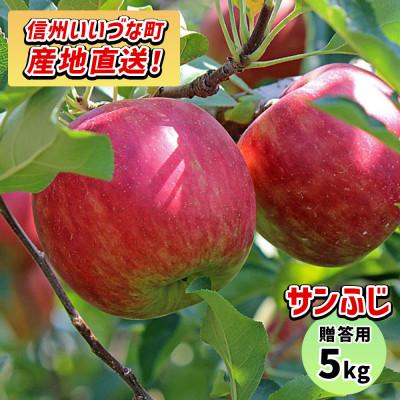 ふるさと納税 飯綱町 りんご さんふじ 2026年12月上旬より順次発送 贈答用 5kg