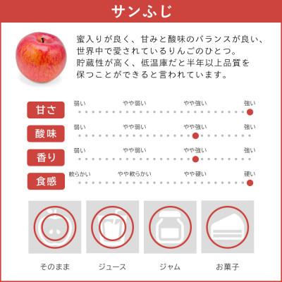 ふるさと納税 飯綱町 【訳あり】 りんご サンふじ 3kg |  | 01