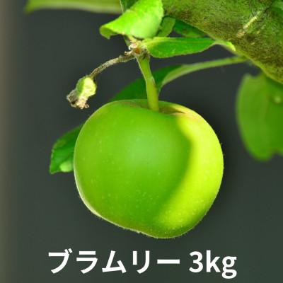 ふるさと納税 飯綱町 [訳あり] りんご ブラムリー 3kg 2026年9月初旬〜11月下旬