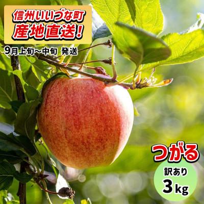 ふるさと納税 飯綱町 [訳あり] りんご つがる 2026年9月上旬~9月中旬 3kg 家庭用