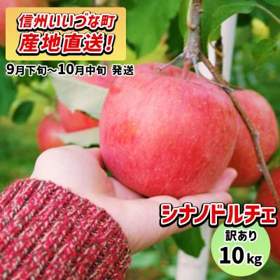ふるさと納税 飯綱町 [訳あり] りんご シナノドルチェ 2026年9月下旬〜10月中旬 10kg