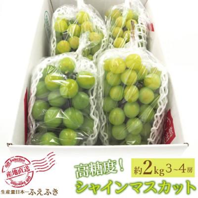 ふるさと納税 笛吹市 [ふるさと納税]2026年先行予約 厳選!シャインマスカット 約2kg(3〜4房) 山梨県笛吹市産