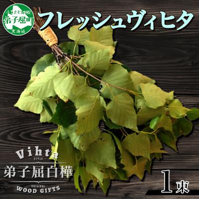 ふるさと納税 弟子屈町 2026年7月発送開始 弟子屈産 白樺使用 フレッシュヴィヒタ 1束 北海道 弟子屈町 1510