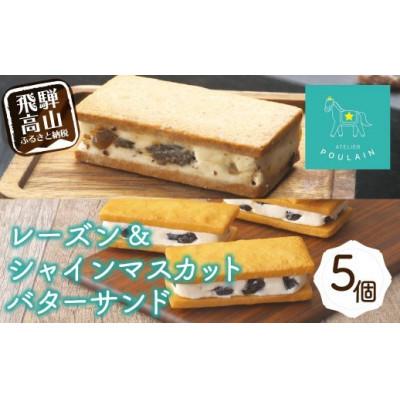 ふるさと納税 高山市 レーズンバターサンド 2個 シャインマスカットレーズンバターサンド 3個(計5個)