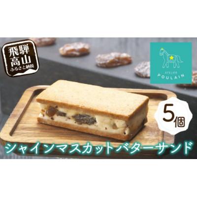 ふるさと納税 高山市 シャインマスカットレーズンバターサンド 5個