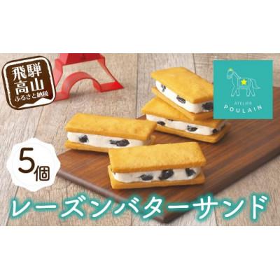 ふるさと納税 高山市 レーズンバターサンド 5個