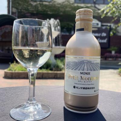 ふるさと納税 富士河口湖町 プティモンテリアスパークリング　290ml×24本 |  | 03