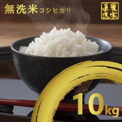ふるさと納税 いすみ市 [令和5年産]コシヒカリ 10kg 無洗米