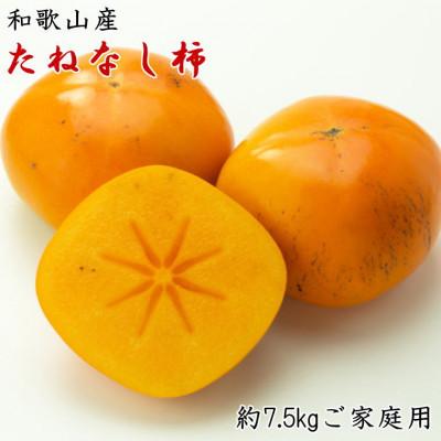 ふるさと納税 日高川町 [秋の味覚]和歌山産のたねなし柿約7.5kgご家庭用(M〜4Lサイズおまかせ)(日高川町)