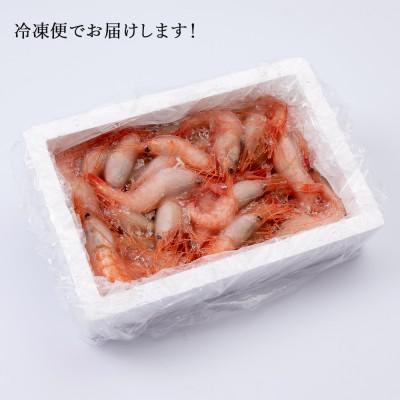 ふるさと納税 白老町 甘みにうっとり!冷凍甘エビ(300g×2箱) |  | 03