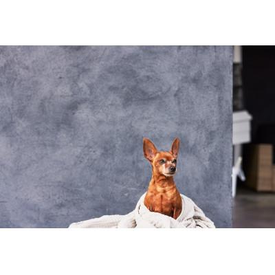 ふるさと納税 鳴沢村 abrAsus hotel Fujiのふるさと納税宿泊ギフト券(30,000円分)