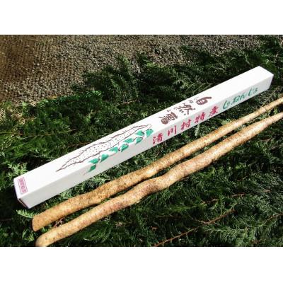 ふるさと納税 清川村 清川村特産　きよかわ自然薯1200(約1.2kg)本数おまかせ | 