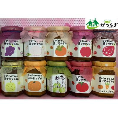 ふるさと納税 葛城市 手作り 季節の野菜・果物のジャム10種セット