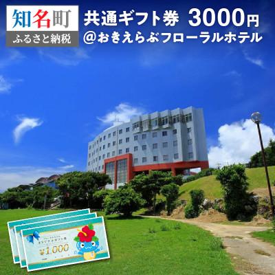 ふるさと納税 知名町 おきえらぶフローラルホテルギフト券3,000円分