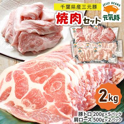 ふるさと納税 多古町 [千葉県産三元豚]元気豚の『焼肉セット』2kg
