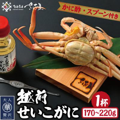 ふるさと納税 越前町 浜茹で越前せいこがに約170〜220g1杯 かに酢&amp;かにスプーン付き