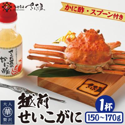 ふるさと納税 越前町 浜茹で越前せいこが約150〜170g1杯 かに酢&amp;かにスプーン付き