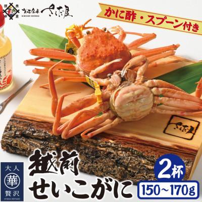 ふるさと納税 越前町 浜茹で越前せいこがに約150g〜170g2杯 かに酢&amp;かにスプーン付き!!