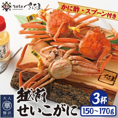 ふるさと納税 越前町 浜茹で越前せいこがに約150〜170g3杯 かに酢&amp;かにスプーン付き