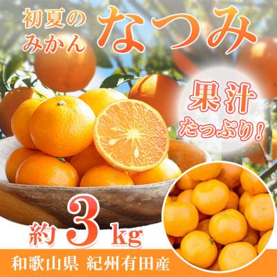 ふるさと納税 日高町 [2027年4月より発送]初夏のみかん なつみ3kg