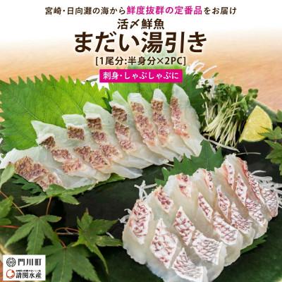 ふるさと納税 門川町 真鯛湯引きのお刺身(1尾分:約500〜600g)(門川町)
