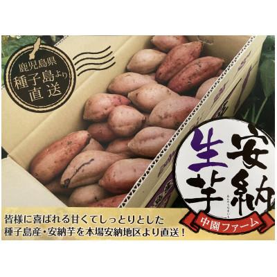 ふるさと納税 西之表市 中園ファームの種子島安納いも(熟成生芋)M&amp;Lサイズ 10kg