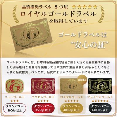 ふるさと納税 韮崎市 羽毛布団 ダブル 冬用 本掛け ホワイトグースダウン93% 80番手 ブルー ポーランド 綿100%_3