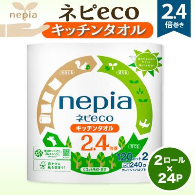 ふるさと納税 苫小牧市 紙のまち苫小牧 ネピecoキッチンタオル2ロール24パック 紙包装