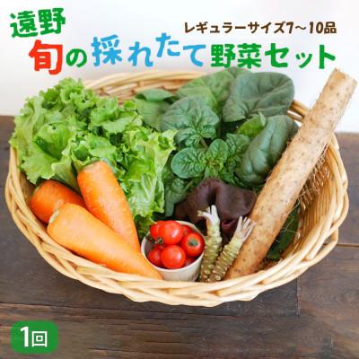ふるさと納税 遠野市 旬のとれたて野菜セット(7~10品)レギュラーサイズ[こんたでぃーの遠野]
