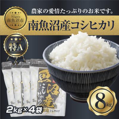 ふるさと納税 南魚沼市 新潟県 南魚沼産コシヒカリ 2kg ×4袋 計8kg(お米の美味しい炊き方ガイド付き)