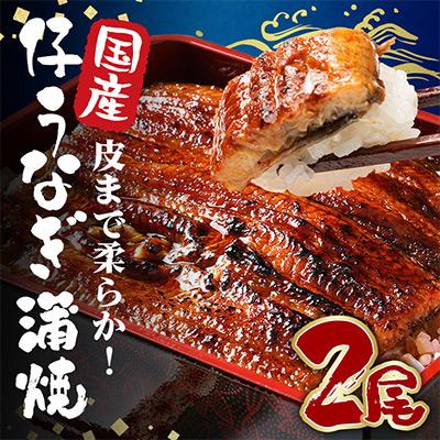 ふるさと納税 潮来市 国産 とても大きな 新仔 うなぎ 蒲焼 2尾 計440〜500g (220〜250g×2尾)