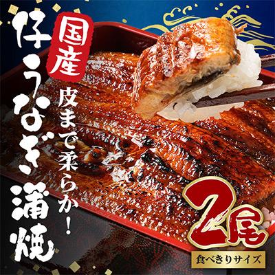 ふるさと納税 潮来市 国内産やわらか新仔うなぎ蒲焼2尾 合計200〜220g(食べ切りサイズ)