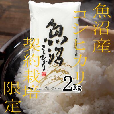 ふるさと納税 魚沼市 令和7年産[雪国逸品 精米2kg]越後魚沼郷 魚沼産コシヒカリ