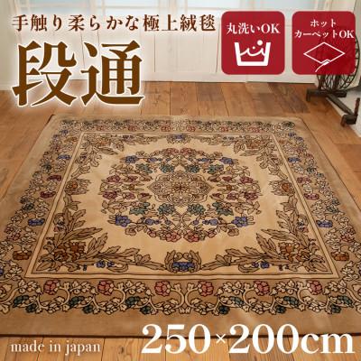 ふるさと納税 橋本市 【訳あり】絨毯 (3畳 長方形 250×200) キャニオン
