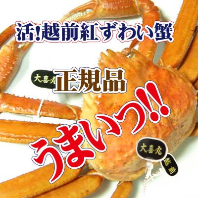 ふるさと納税 越前町 活! 越前 紅ずわいがに × 1杯 旨味満点!! ≪浜茹で≫[4・5月発送分]
