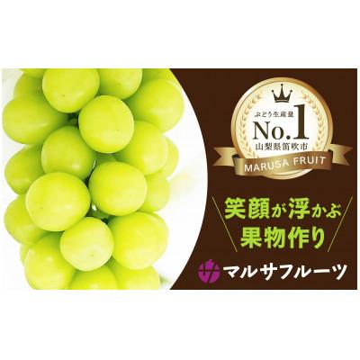 ふるさと納税 笛吹市 [2026年発送]シャインマスカット 約1.5kg(大房2房) 朝採り産地直送