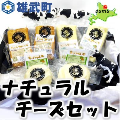 ふるさと納税 雄武町 北海道産ナチュラルチーズセット[B1002]