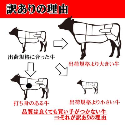 ふるさと納税 佐世保市 訳あり長崎和牛A5肩ローススライス(500g) |  | 03