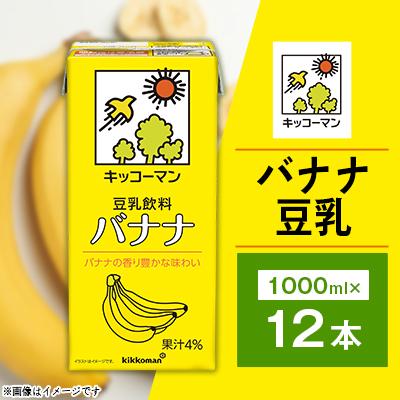 ふるさと納税 瑞穂市 12本×バナナ豆乳飲料1000ml