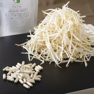 ふるさと納税 佐世保市 もやしカプセルクメフル