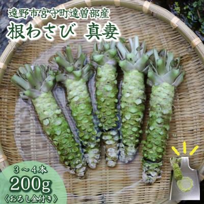ふるさと納税 遠野市 [生産者直送]宮守特産わさび 真妻(生) 200g(3〜4本)[わさび用おろし金付き]
