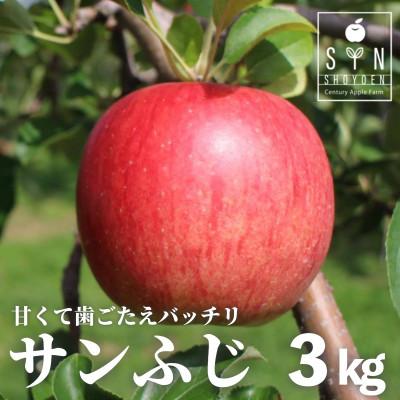 ふるさと納税 遠野市 りんご サンふじ 3kg 令和8年 産 松陽園 岩手県 遠野市 2026年12月上旬発送予定