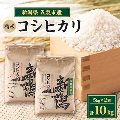 ふるさと納税 五泉市 [新米先行受付]R7年産新潟県五泉市産 コシヒカリ 10kg(5kg×2袋) 精米