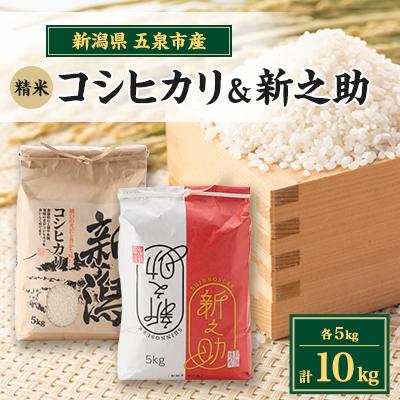 ふるさと納税 五泉市 [新米先行受付]R7年産新潟県五泉市産 食べ比べセット コシヒカリ5kg 新之助5kg 計10kg
