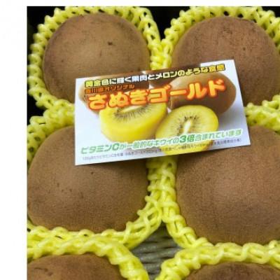 ふるさと納税 三豊市 さぬきゴールドキウイ 「黄様(おうさま)」 大玉約3.5kg