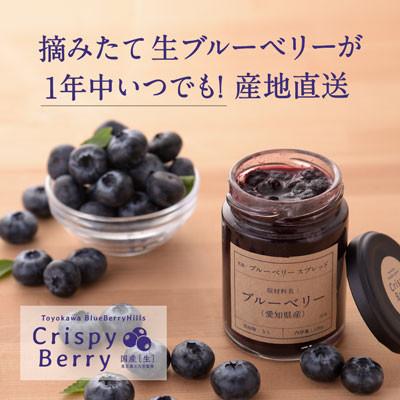 ふるさと納税 豊川市 [春夏秋冬いつでも旬のブルーベリー]生ブルーベリー×2パック ブルーベリースプレッド×1個