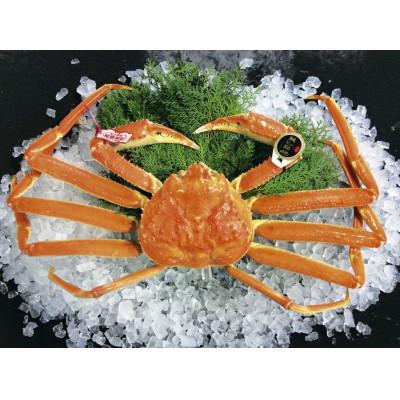 ふるさと納税 北栄町 とっとりブランド 松葉ガニ 五輝星