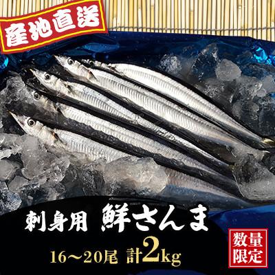 ふるさと納税 厚岸町 [先行受付・産地直送]旬の味覚!刺身用 鮮さんま(16〜20尾)