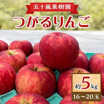 ふるさと納税 横手市 [五十嵐果樹園]つがるりんご 約5kg(16〜20玉)玉数おまかせ
