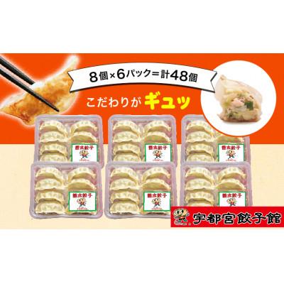ふるさと納税 さくら市 宇都宮餃子館の健太餃子 8個入り×6パック(計48個)